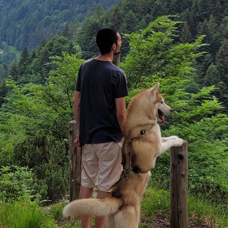 Facilitatore Sistemico per Persone e Animali
